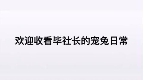 小弟斗嘴大哥吃瓜,斗嘴小弟与吃瓜大哥的欢乐日常