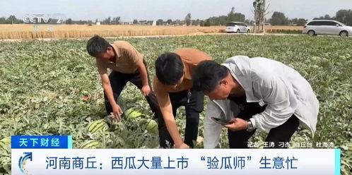 井陉吃瓜群众打人视频,现场冲突视频引发社会关注