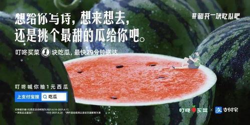 视频吃瓜文案,揭秘视频吃瓜文案背后的趣味与真相