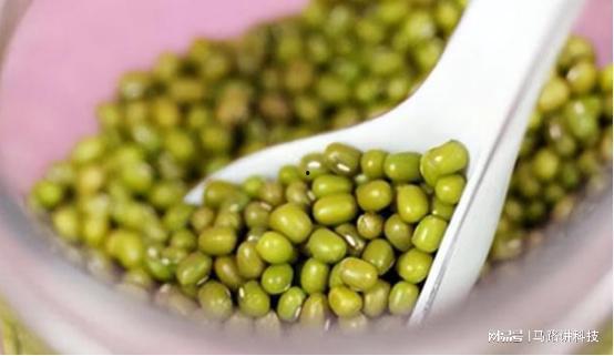 种豆有瓜吃,耕耘与收获的智慧之旅