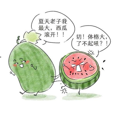 瓜怎么吃不寒,瓜果多样吃法，尽享清凉不寒