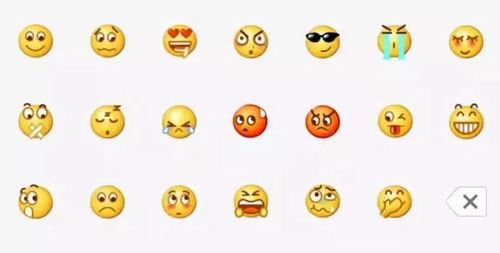 稷泽吃瓜表情包,网络潮流下的幽默新宠