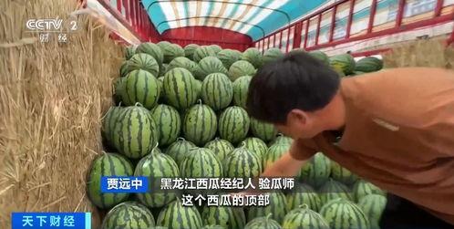 今年吃瓜排名,盘点娱乐圈最热话题