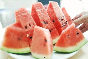 311事件吃瓜,一场突如其来的灾难，吃瓜群众的视角回顾