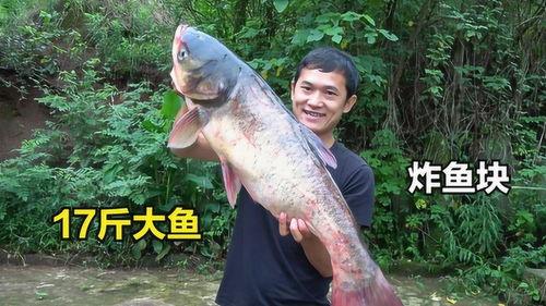 鱼头吃瓜,一场跨界美食的奇妙邂逅